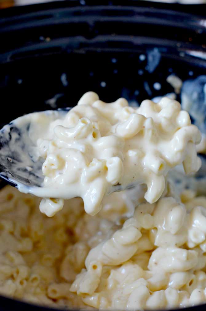 Three Cheese Crock Pot Macaroni and Cheese. So rich, so creamy, and so extremely cheesy! Just throw the ingredients in the slow cooker (even the uncooked pasta) and in just a few hours you have some of the tastiest mac out there! | hostthetoast.com