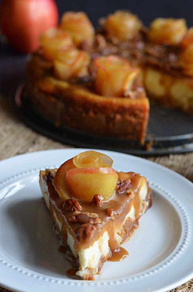 Salted Caramel Apple Cheesecake with Apple Roses.  One of the prettiest, tastiest desserts I've ever eaten.  Don't be intimidated-- it's easier to make than it looks! | hostthetoast.com 