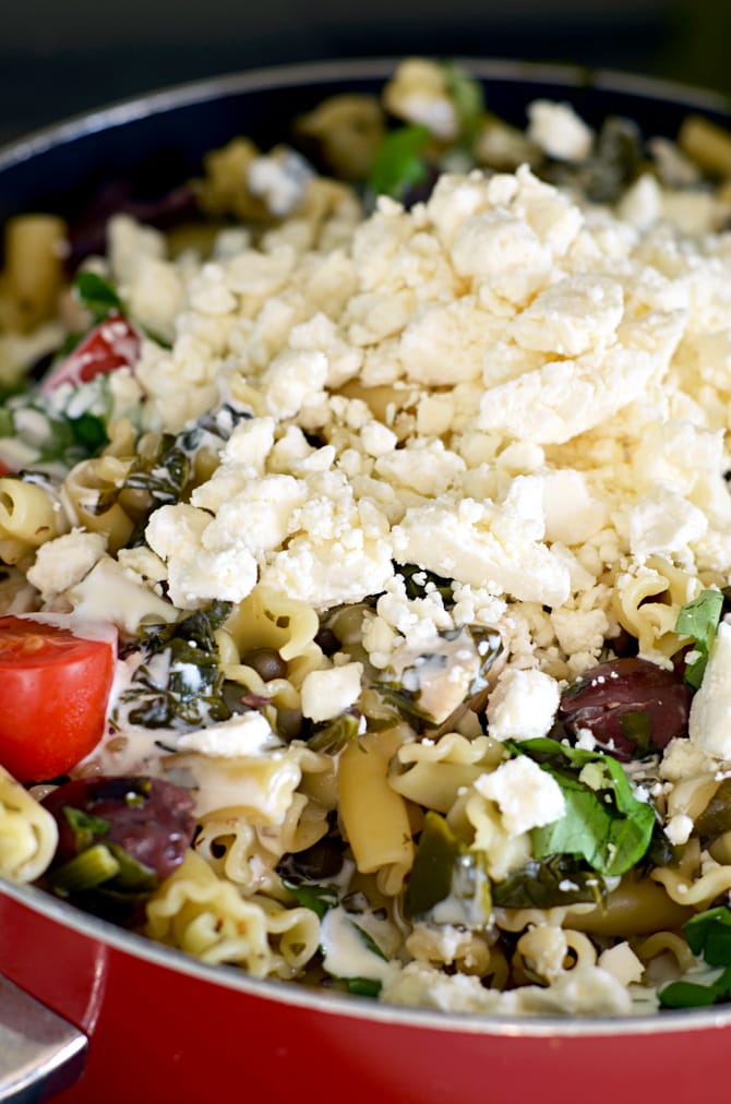 One Pot Greek Chicken Pasta with Creamy Feta Wine Sauce.  You don't even need to boil the noodles first-- just cook it all in one pot!  Easy and impressive dinner. | hostthetoast.com