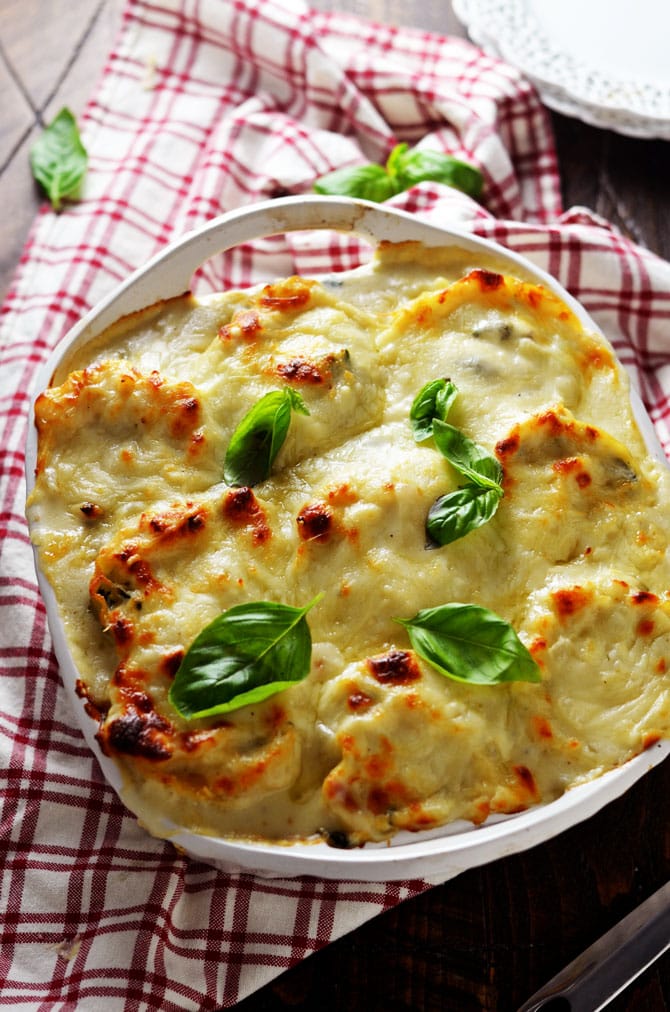 White Chicken Lasagna Roll Ups. Shredded chicken, spinach, and three cheeses, rolled in lasagna noodles and baked in a garlicky, cheesy white sauce. | hostthetoast.com