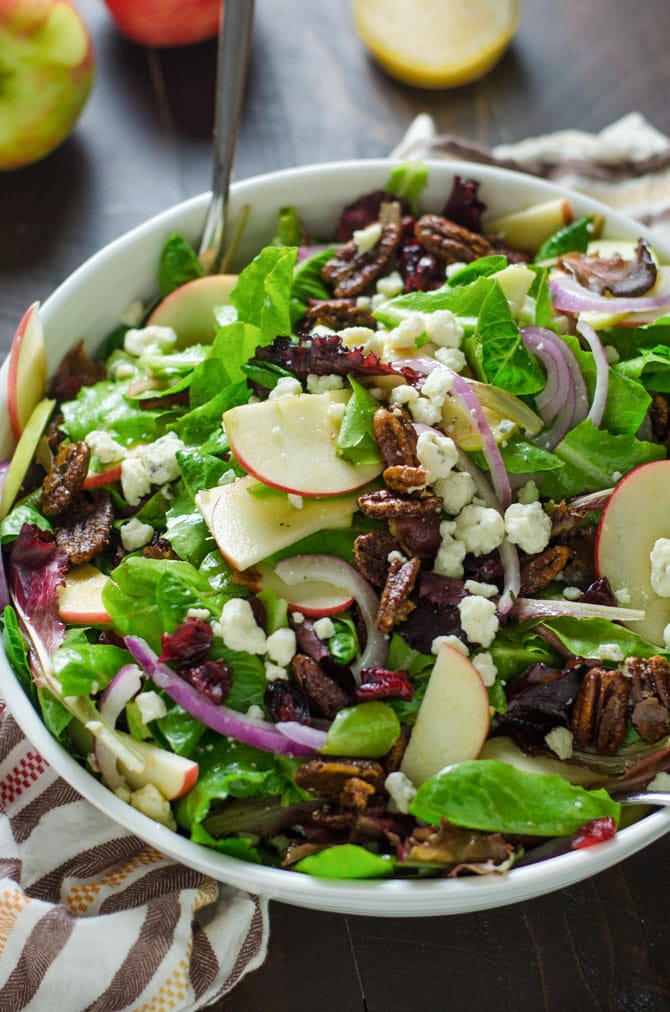 Honey Crisp Apple Salad with Cider Vinaigrette. Baby romaine greens, honey crisp apples, smoky bacon, candied pecans, gorgonzola crumbles, dried cranberries, and red onion pack this salad with bold flavor! Not to mention the homemade cider vinaigrette makes the whole thing taste so perfectly Fall-worthy. | hostthetoast.com