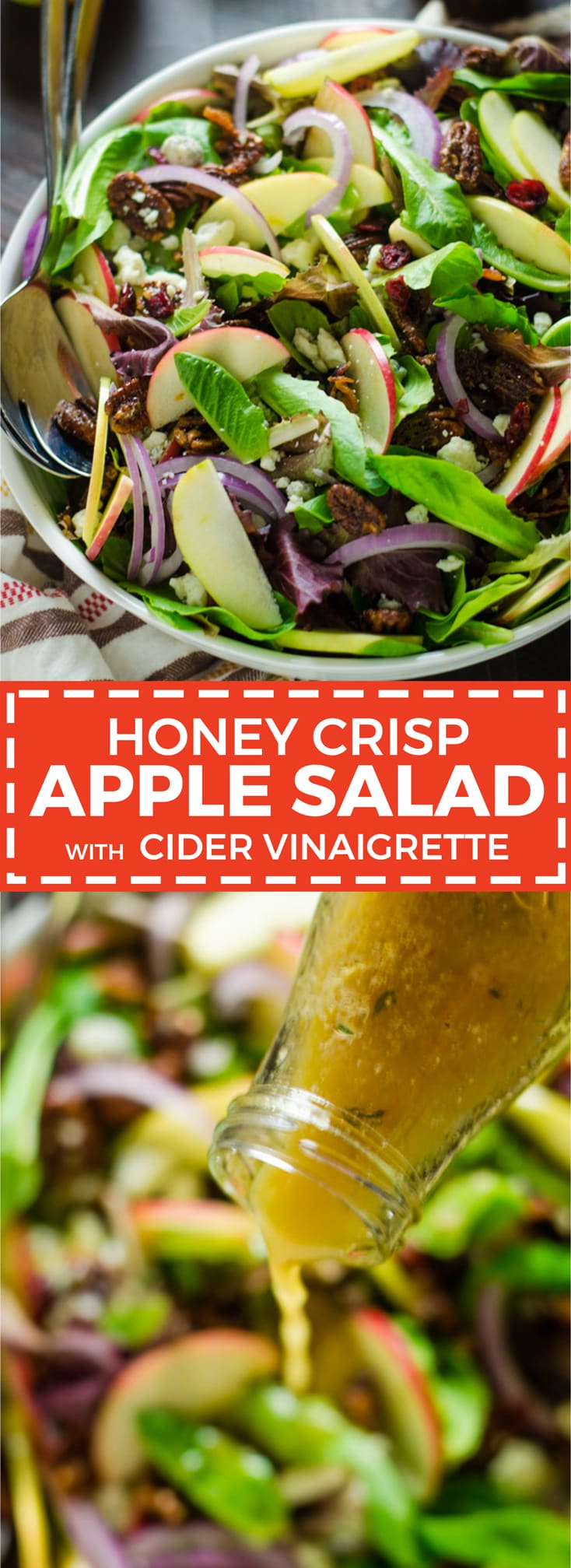 Honey Crisp Apple Salad with Cider Vinaigrette. Baby romaine greens, honey crisp apples, candied pecans, gorgonzola crumbles, dried cranberries, and red onion pack this salad with bold flavor! Not to mention the homemade cider vinaigrette makes the whole thing taste so perfectly Fall-worthy. | hostthetoast.com