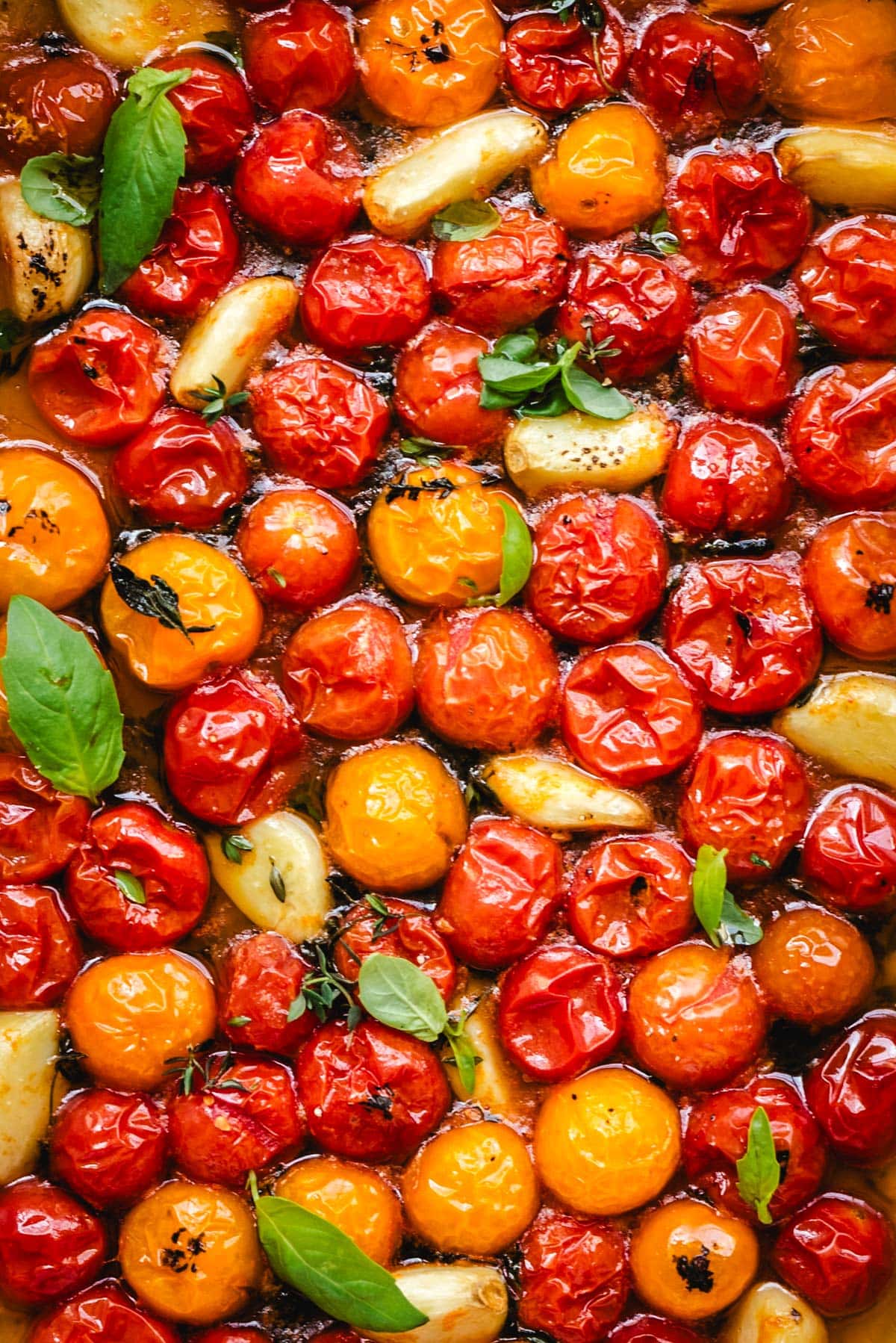 A close-up of roasted cherry tomatoes, garlic cloves, and herbs in olive oil and tomato juices.