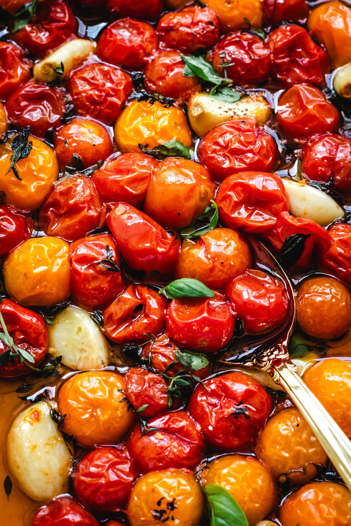 A close-up of roasted cherry tomatoes, garlic cloves, and herbs in olive oil and tomato juices.